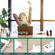 Portable Fan, Mini Fan Personal Fan Handheld Fan Usb Rechargeable Small Fan Foldable Desk Fan 5000Mah Battery 16H Max Cooling