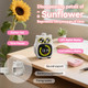 Dolidream Visual Timer For Kids 99Minute