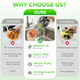 Godspeeds Juicer Machines With 5.8 Large Feed Chute Slow Masticating Cold Press