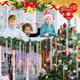 Vertintong 12000 Christmas Icicle Tinsel Gold Red Silver Tinsel For Christmas Tree Gold