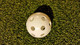 Wiffle Plastic Perforated Golf Balls 36 Pack