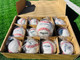 Rawlings Usssa Baseballs