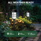 Solpex Solar Lights For Outside, Solar Outdoor Lights 8 Pack, Up To 10 Hrs Auto On/Off Garden Lights Waterproof, Solar Powered