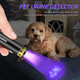 Darkbeam Flashlight Uv Black Light 395 Nm Mini But Powerful Usb C Black
