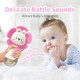 Weirtoya Baby Rattles Teething Toys 36 Month Baby Toys For 012 Months 2 Pcs