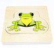 Adena Montessori Life Cycle Of Frog