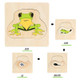 Adena Montessori Life Cycle Of Frog