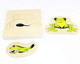 Adena Montessori Life Cycle Of Frog