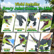 Qpou Remote Control Dinosaur Toy For Kids