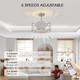 Caged Ceiling Fan With Lights, Indoor Enclosed 6 Speeds Reversible Ceiling Fans With Remote Control, Crystal Modern Industrial