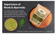 Way 4 Organic W4O Bundle Of Guava Leaf And Neem Tea Each 8 Oz