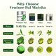 Venture Pal Superior Ceremonial Grade Matcha Powder 100% Pure First Harvest Matcha Powder 1.06Oz 30G
