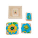 Adena Montessori Life Cycle Of Sunflower Montessori Toddler Montessori Early Child Development Learning