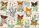 Wonder Forge Butterfly Splendor Jigsaw Puzzle For Adults 1000 Piece