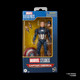 Marvel Legends Series Captain America Avengers: Endgame Collectible Action Figure 6 Inch