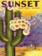 York Puzzle Company Sunset Magazine Cactus Blooms 500 Piece