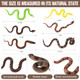 Vertintong Fake Snakes Prank Soft Rubber Snake Realistic Keep Birds Away Lifelike 6Pcs