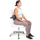 Optp The Original Mckenzie DSection Lumbar Roll