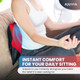 Ajuvia Back Vitalizer Lumbar Support Pillow