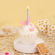 Phd Cake 144Count Multicolored Spiral Birthday Candle Birthday Candles For Cake Cupcake Candles