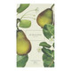 Jo Malone London English Pear and Freesia Diffuser Fragrances 690251082728 5.6Oz