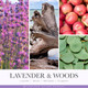Lumeloom Birthday Gifts For Women Happy Birthday Candle Lavender Scented Soy Wax 9Oz