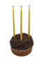 Beeswax Candle Works Inc 5Inch Birthday Candles (Pack Of 24) 100% Usa Beeswax Pack Of 24