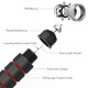 Loocio Jump Rope Tangle-Free Rapid Speed Jumping Rope Cable with Ball Bearings for Women Men and Kids Adjustable Steel Jump Rope with Foam Handles for Home Gym Exercise Fitness Workout Equipment & Slim Body