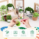 Imcrasy Crochet Kit For Beginners With Step By Step Video Lessons 6 Pc Potted Plants And Succulent Family Crochet Kit With Crochet Accessories2025 Version