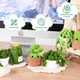 Imcrasy Crochet Kit For Beginners With Step By Step Video Lessons 6 Pc Potted Plants And Succulent Family Crochet Kit With Crochet Accessories2025 Version