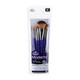 Royal and Langnickel Moderna 5Pc Variety Brush Set For All Painting Mediums Includes Oval Wash Angular Shader Fan and Round Brushes