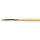 Winsor and Newton Artist Hog Brush Short Filbert No 2