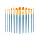 Royal and Langnickel Brush Manufacturing Royal And Langnickel Zip N Close 12Piece Brush Set In Vinyl Pouch