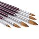 Hilsoeet Kolinsky Watercolor Brush Set Pure Kolinsky Sable Hair Pointed Round Art Paintbrushes Premium 6 Pcs Round Tip Paint Brush Artist Acrylic Brush For Watercolor Art Painting Gouache Face Painting