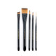 Royal and Langnickel Majestic Deluxe Watercolor Artist Brush Set 5Piece