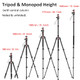 Ulanzi Tt31 724 Claw Quick Release Aluminum Camera Tripod and Monopod Panorama 360 Ball Head Detachable W 180 Revertible Legs Up Load 882Lb For Sony/Canon/Nikon/Fujifilm And More