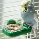 Septillar Bird Feeder 2 Pcs Plastics Bird Food Water Bowls Cups Cage Accessories For Conure Parakeet Budgie Cockatiel