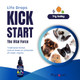 Phytopet Life Drops Natural Herbal Stimulant For Newborn and Elderly Pets Ideal For Puppies Kittens Birds Foals 10Ml