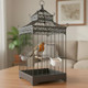 Qfwdfctrenz 6 Pcs Plastic Bird Food Feeder Bird Cage Feeder Hanging Feeding Bowl Seed Container White Food Dishes Bowl Birds Cage Accessories For Small Parakeet Pigeons Conures