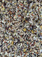 Goldenfeast Vl Patagonian Blend 3 Lb Bag