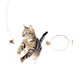 Cat Dancer 022Cd01101 Cat Dancer Original Toy