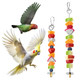 Qfwdfctrenz 2Pcs Bird Cage Food Holder With Hook Parrot Fruit Vegetable Skewer Stainless Steel Bird Feeder For Cages Hanging Foraging Toy Birds Cage Feeder Foraging Toy For Macaw Parakeet Parrot Budgie