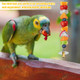 Qfwdfctrenz 2Pcs Bird Cage Food Holder With Hook Parrot Fruit Vegetable Skewer Stainless Steel Bird Feeder For Cages Hanging Foraging Toy Birds Cage Feeder Foraging Toy For Macaw Parakeet Parrot Budgie