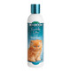 BioGroom Kuddly Kitty Shampoo Tearless Gentle Kitten Shampoo SoapFree Cat Bathing Supplies Quick Rinse Cat and Kitten Grooming Supplies CrueltyFree Made In Usa 8 Fl Oz 1Pack