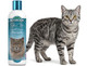 BioGroom Kuddly Kitty Shampoo Tearless Gentle Kitten Shampoo SoapFree Cat Bathing Supplies Quick Rinse Cat and Kitten Grooming Supplies CrueltyFree Made In Usa 8 Fl Oz 1Pack