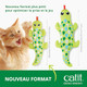 Catit Groovy Gecko Interactive Cat Toy Flopping Motion Toy With Catnip and Silvervine Usb Rechargeable Motion Sensor Washable Cover Green