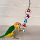 Yitaocity 3Pcs Bird Bells Toy Chewing Hanging Ring Toy Cage Bite Colorful Bells Chandelier Parrot Cage Craft Toys For Pet Budgie Parakeet Cockatiel Macaw African Grey Lovebird Quaker Parrot