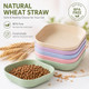 Zoenif Cat Bowls 10 Pack Shallow Whisker Friendly Cat Dishes Wide Kitten Food And Water Bowl For Wet Food Dry Kibble Indoor Outdoor Cats MultiCat Feeding Plate