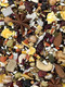 VerseleLaga Goldenfeast Vl Central American Blend 3 Lb Bag Natural