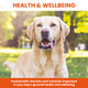 Vetzyme Dog Once A Day Conditioner 30 Tablets